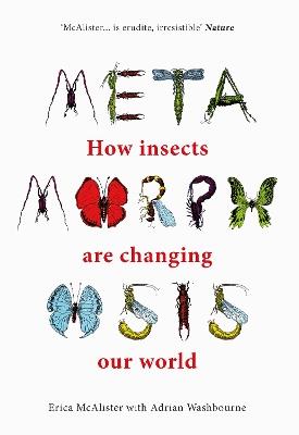 Metamorphosis: How insects are changing our world - Erica McAlister,Adrian Washbourne - cover