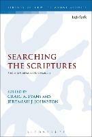 Searching the Scriptures: Studies in Context and Intertextuality - cover