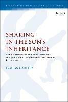 Sharing in the Son’s Inheritance: Davidic Messianism and Paul’s Worldwide Interpretation of the Abrahamic Land Promise in Galatians