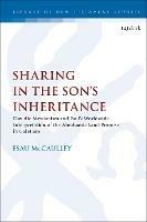 Sharing in the Son's Inheritance: Davidic Messianism and Paul's Worldwide Interpretation of the Abrahamic Land Promise in Galatians