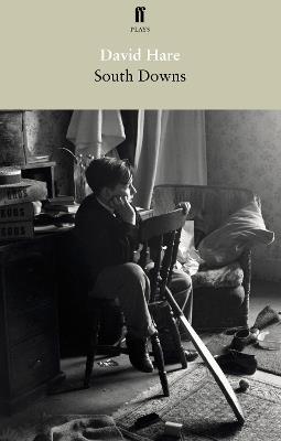 South Downs and Mere Fact, Mere Fiction - David Hare - cover