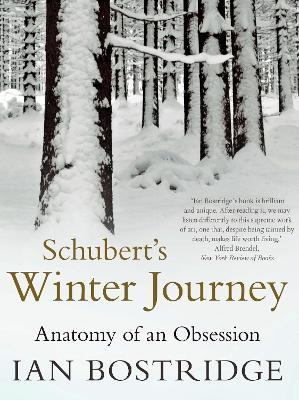 Schubert's Winter Journey: Anatomy of an Obsession - Ian Bostridge - cover
