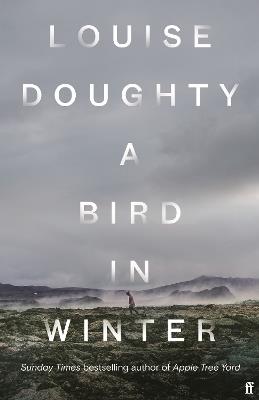 A Bird in Winter: 'Nail-bitingly tense and compelling' Paula Hawkins - Louise Doughty - cover