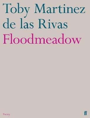 Floodmeadow - Toby Martinez de las Rivas - cover