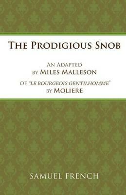 Bourgeois Gentilhomme - Moliere - cover