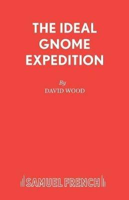 The Ideal Gnome Expedition - David Wood - cover