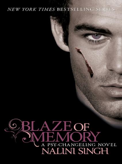 Blaze of Memory
