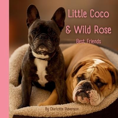 Little Coco and Wild Rose: Best Friends - Charlotte N Stevenson - cover