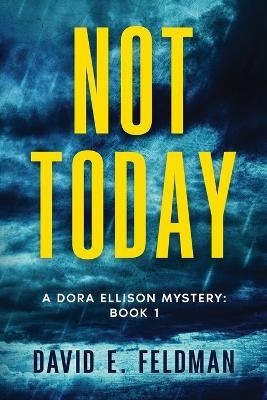 Not Today - David E Feldman - cover