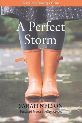 A Perfect Storm: Devotions During a Crisis - Sarah Nelson - cover
