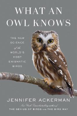 What an Owl Knows: The New Science of the World's Most Enigmatic Birds - Jennifer Ackerman - cover