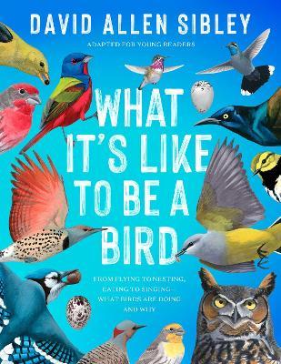 What It's Like to Be a Bird (Adapted for Young Readers): From Flying to Nesting, Eating to Singing--What Birds Are Doing and Why - David Allen Sibley - cover