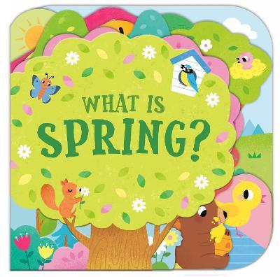 What Is Spring? - Sonali Fry - cover