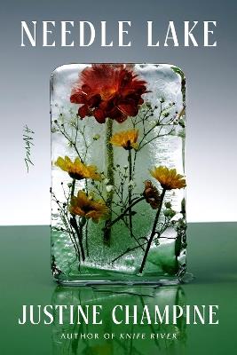 Needle Lake: A Novel - Justine Champine - cover