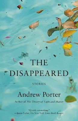The Disappeared: Stories - Andrew Porter - cover