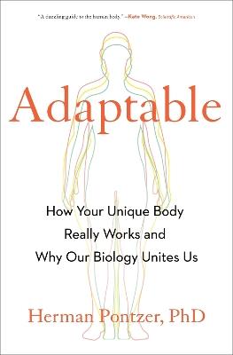 Adaptable: How Your Unique Body Really Works and Why Our Biology Unites Us - Herman Pontzer - cover