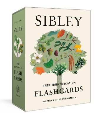 Sibley Tree Identification Flashcards: 100 Trees of North America - David Allen Sibley - cover
