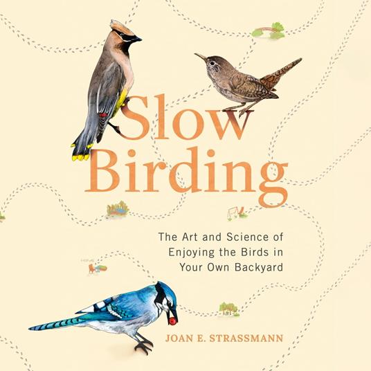 Slow Birding