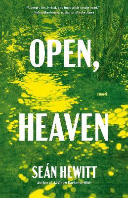 Open, Heaven: A Novel - Seán Hewitt - cover
