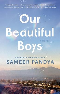Our Beautiful Boys: A Novel - Sameer Pandya - cover