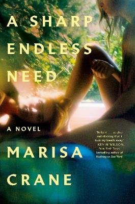 A Sharp Endless Need: A Novel - Marisa Crane - cover