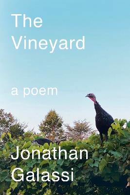 The Vineyard: A Poem - Jonathan Galassi - cover