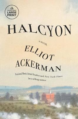 Halcyon: A novel - Elliot Ackerman - cover