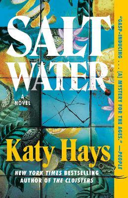 Saltwater: A Novel - Katy Hays - cover