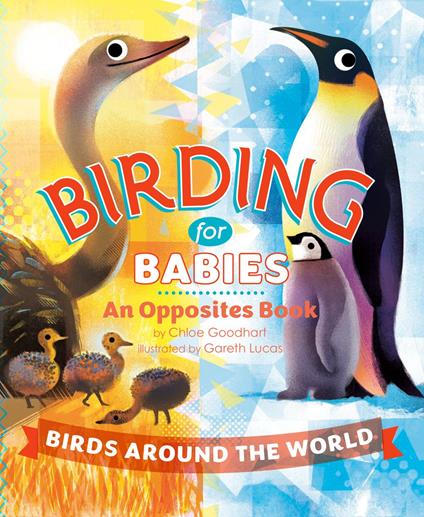 Birding for Babies: Birds Around the World - Chloe Goodhart,Gareth Lucas - ebook