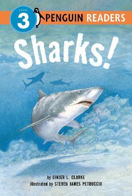 Sharks! - Ginjer L. Clarke - cover