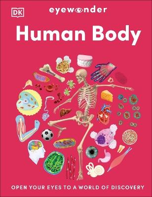 Eyewonder Human Body: Open Your Eyes to a World of Discovery - DK - cover