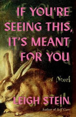 If You're Seeing This, It's Meant for You: A Novel - Leigh Stein - cover