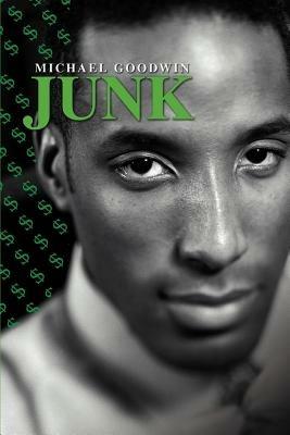 Junk - Michael Goodwin - cover
