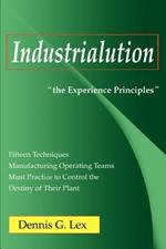 Industrialution: the Experience Principles