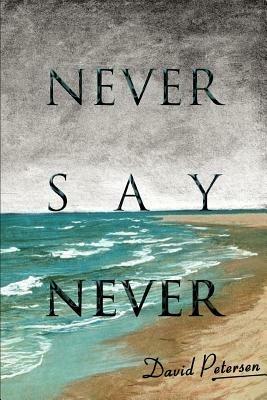 Never Say Never - David Petersen - cover