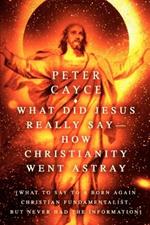 What Did Jesus Really Say-How Christianity Went Astray: [What To Say To A Born Again Christian Fundamentalist, But Never Had The Information]