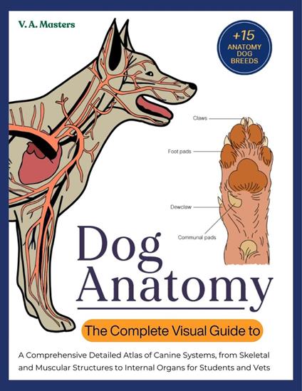 The Complete Visual Guide to Dog Anatomy: A Comprehensive Detailed Atlas of Canine Systems, from Skeletal and Muscular Structures to Internal Organs for Students and Vets