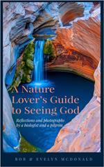 A Nature Lover's Guide to Seeing God