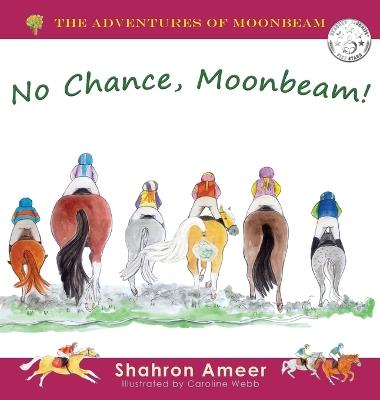No Chance, Moonbeam - Ameer - cover