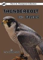 Thunderbolt the Falcon - C K Thompson - cover