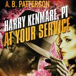 Harry Kenmare, PI - At Your Service