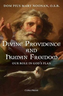 Divine Providence And Human Freedom: Our Role In God's Plan - Pius Mary Noonan - cover
