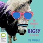 The Adventures of Bigsy - The Little Horse