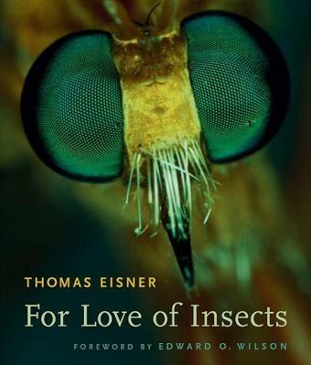For Love of Insects - Thomas Eisner - cover