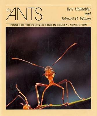 The Ants - Bert Hölldobler,Edward O. Wilson - cover
