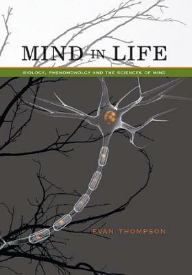 Mind in Life: Biology, Phenomenology, and the Sciences of Mind - Evan Thompson - cover