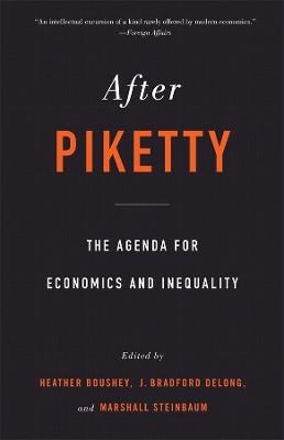 After Piketty: The Agenda for Economics and Inequality - cover