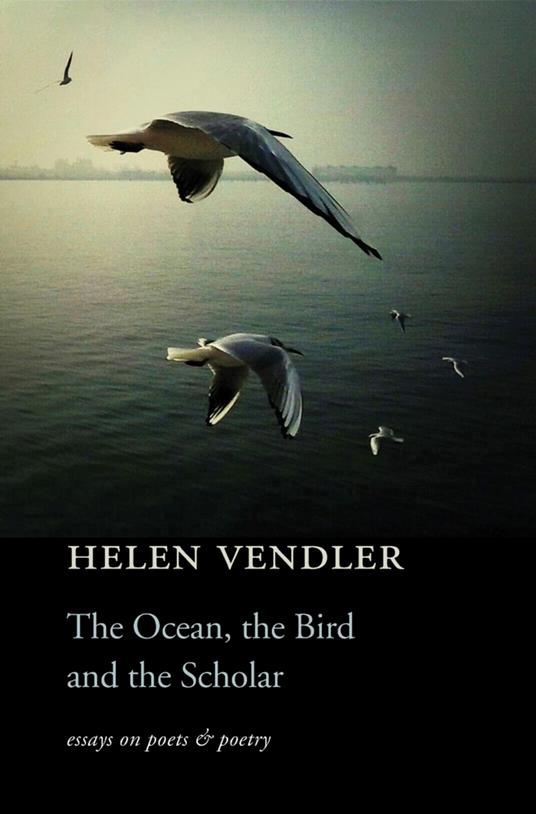 The Ocean, the Bird, and the Scholar