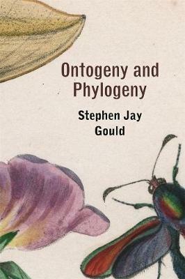 Ontogeny and Phylogeny - Stephen Jay Gould - cover
