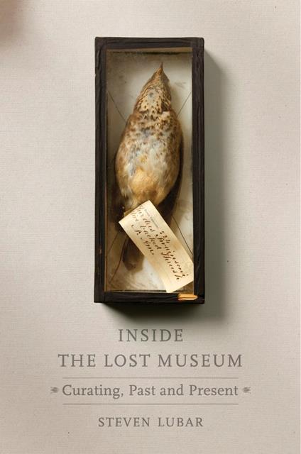 Inside the Lost Museum